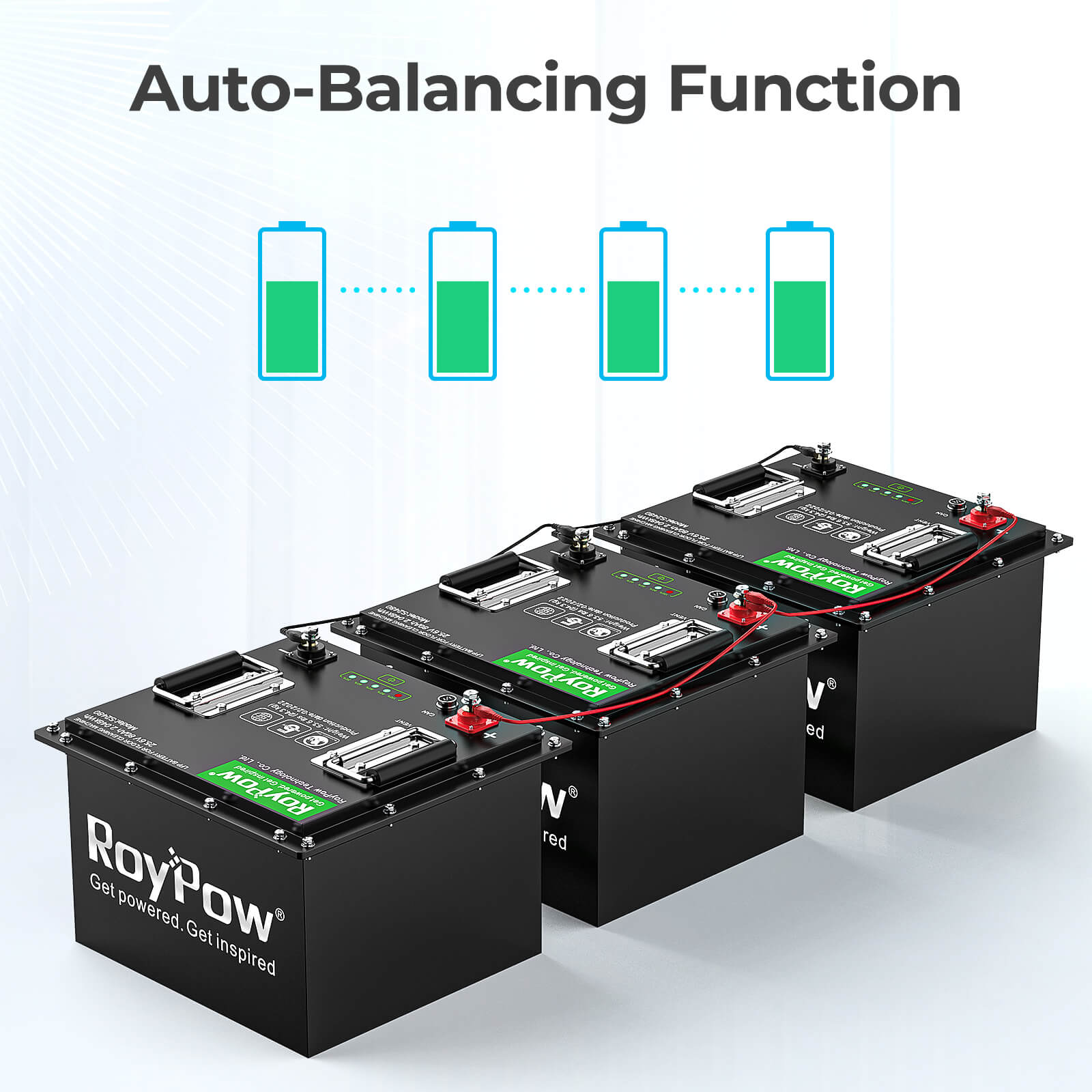 RoyPow S2480-H 24V 80AH LiFePO4 deep cycle rechargeable battery