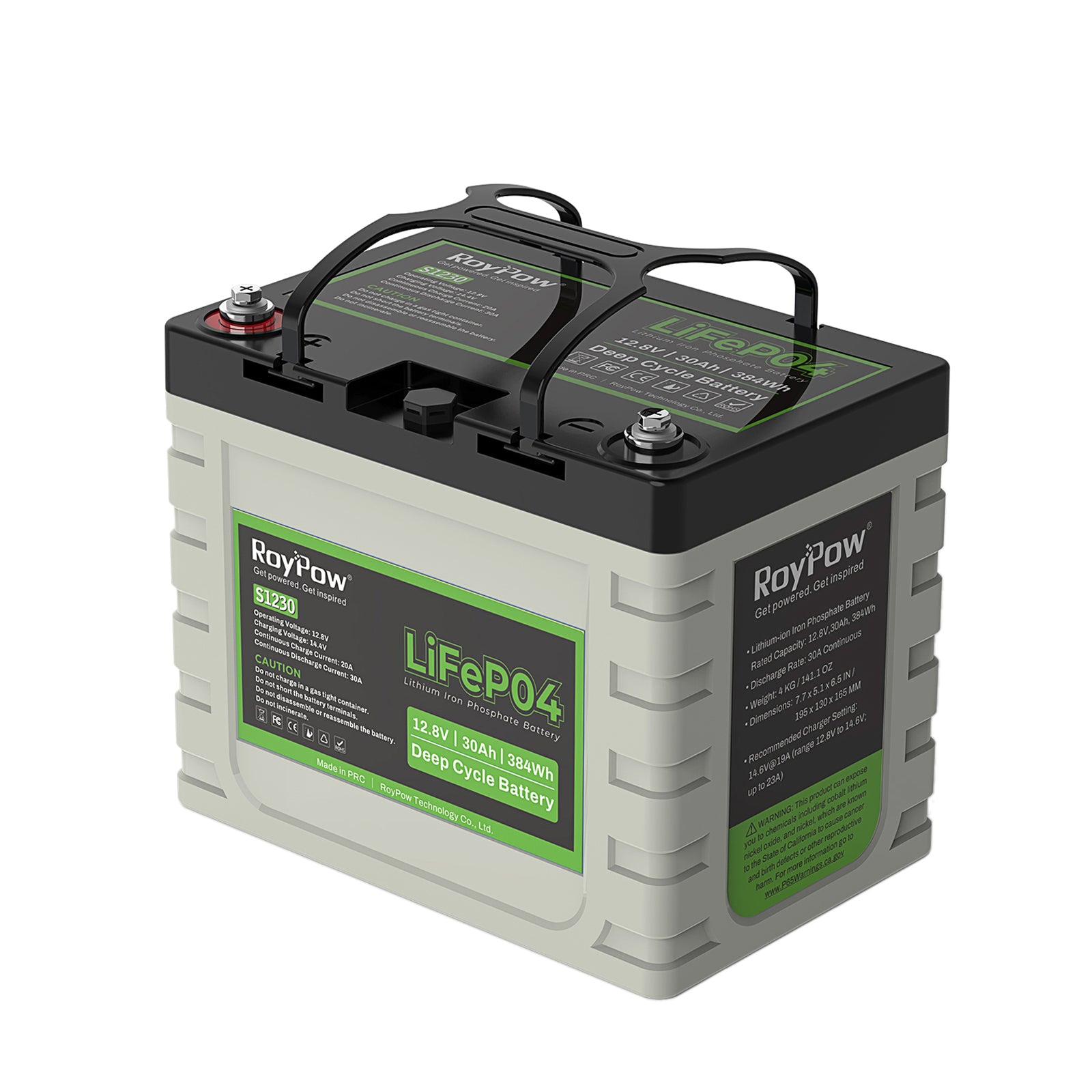 RoyPow 12V 30AH lithium iron phosphate deep cycle rechargeable battery