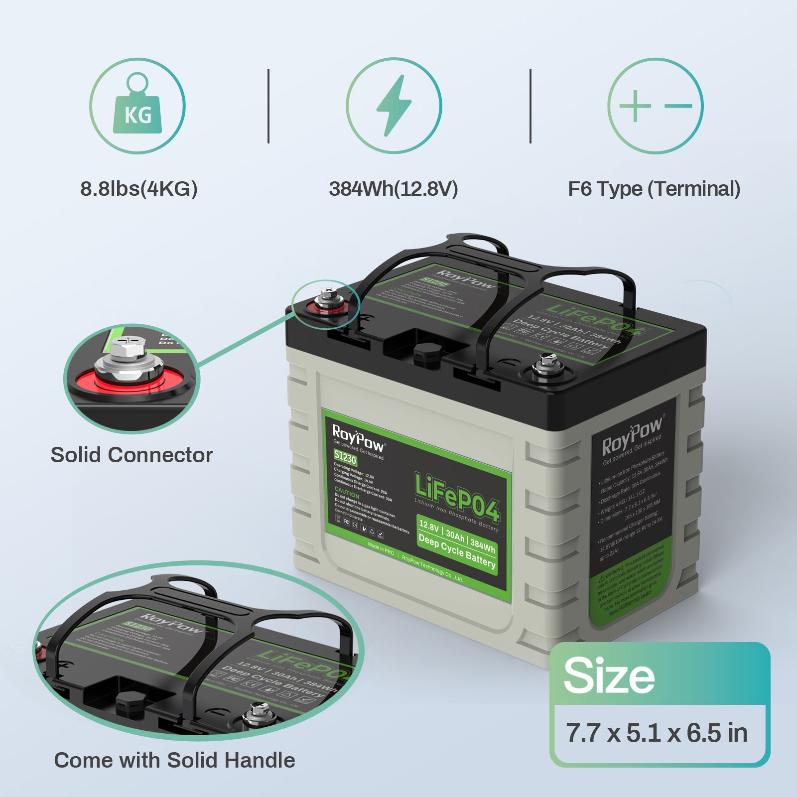 RoyPow 12V 30AH lithium iron phosphate deep cycle rechargeable battery