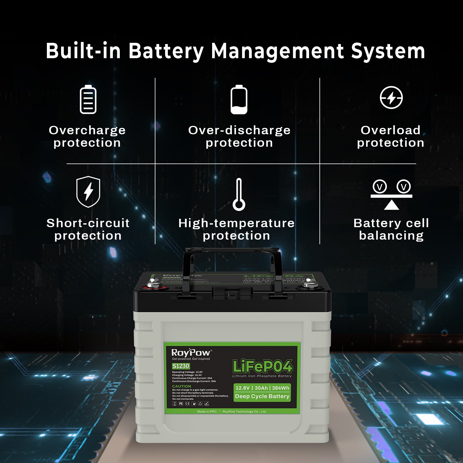 RoyPow 12V 30AH LiFePO4 deep cycle rechargeable battery