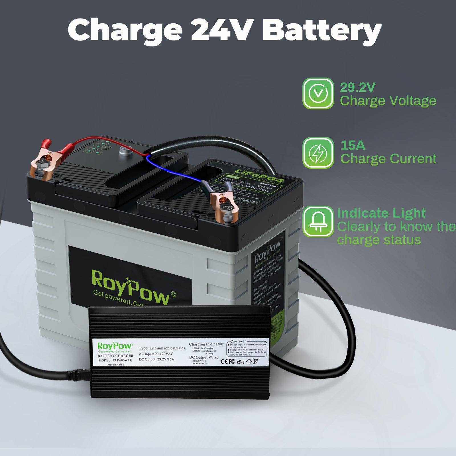 RoyPow 29.2V-15A P085MI LiFePO4 Battery charger