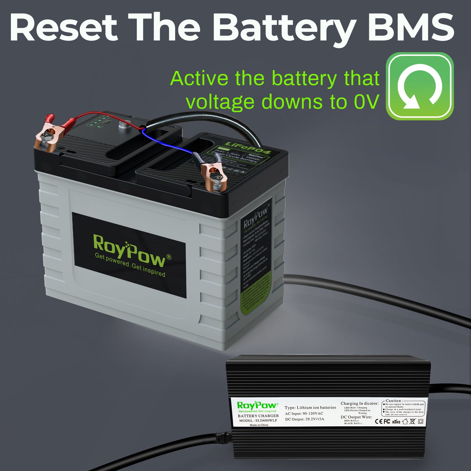 RoyPow 29.2V-15A P085MI LiFePO4 Battery charger